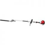 Grizzly Grizzly BHS25L Long Reach Petrol Hedge Trimmer