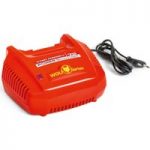 Wolf-Garten Wolf-Garten Li-Ion 72V Battery Charger