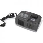 Alpina Alpina 48V Li-ion Battery Fast Charger