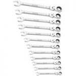 Facom Expert by Facom 12 Angled Ratchet Combination Spanners 9-19mm