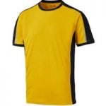 Dickies Dickies DP1002 Pro T-Shirt Yellow