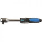 Laser Laser 6205 1/2” Drive 20-100Nm Digital Torque Wrench