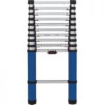 Youngman Werner 3.2m Telescopic Extension Ladder