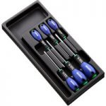 Facom Expert by Facom E194941B – 6 Piece ResisTorx Screwdriver Module