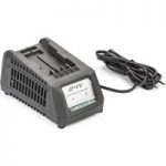 Alpina Alpina 24V Li-ion Battery Charger