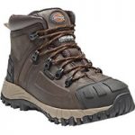 Dickies Dickies Medway Super Safety Boot Brown