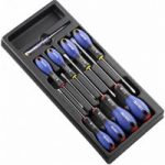 Facom Expert by Facom E194940B – 8 Piece Mechanic’s And Electrician’s Screwdriver Module