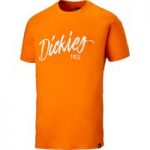 Dickies Dickies Hanston T-Shirt Orange