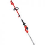 Grizzly Grizzly EHS550T Electric Telescopic Long Reach Hedge Trimmer