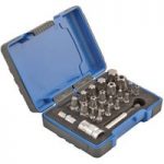 Laser Laser 5031 23 Piece Torx Plus Bit Set