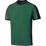 Dickies Dickies DP1002 Pro T-Shirt Green