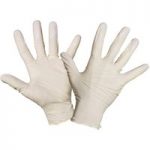 Rodo Rodo 100 Pack Disposable Powdered Gloves