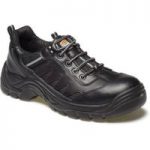 Dickies Dickies Stockton Super Safety Trainer