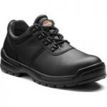 Dickies Dickies Clifton II Safety Shoe Black